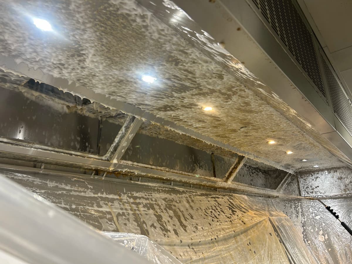 Canopy cleaning TR19